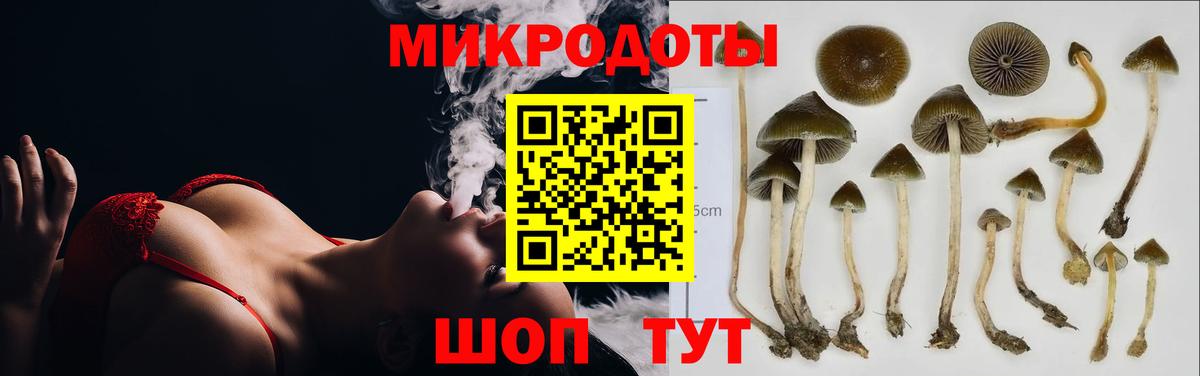 где купить наркоту  Псилоцибиновые грибы ЛСД  Вход с VPN  Ступино 